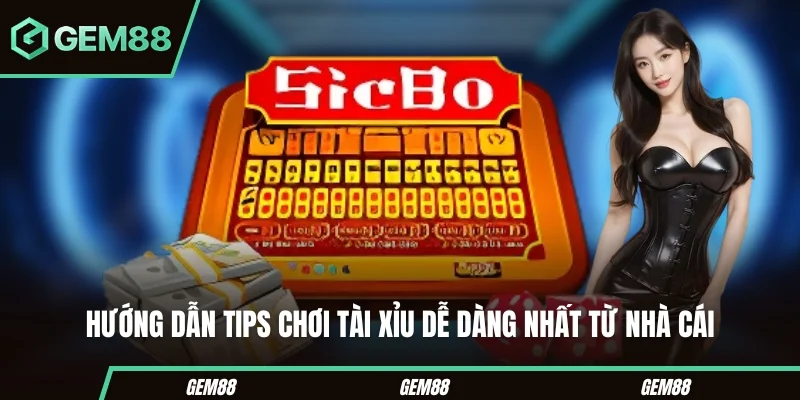 Hướng dẫn tips chơi tài xỉu dễ dàng nhất từ nhà cái
