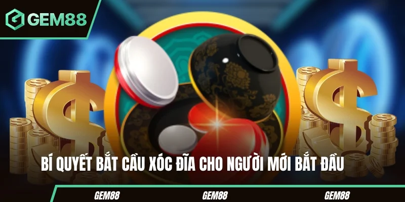 Bí quyết bắt cầu xóc đĩa cho người mới bắt đầu