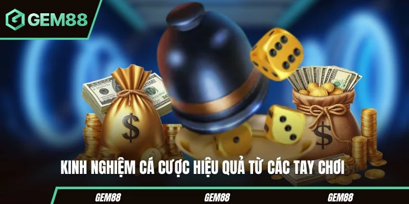 Kinh nghiệm cá cược dễ thắng từ các tay chơi