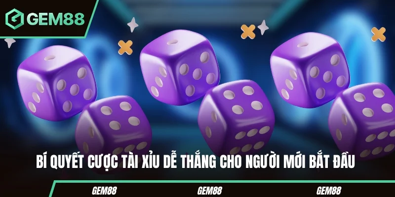 Bí quyết cược tài xỉu dễ thắng cho người mới bắt đầu